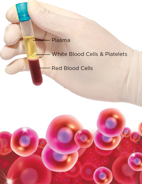 Webp.net-resizeimage